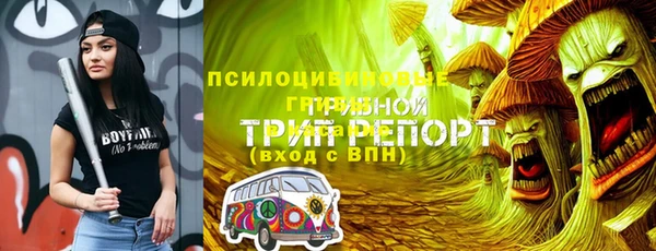 МДМА Бородино