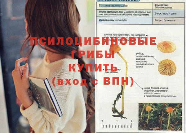 спайс Бугульма