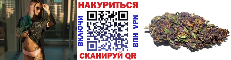 МАРИХУАНА ГИДРОПОН  Ессентуки 